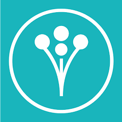 Wedding Planner by WeddingWire